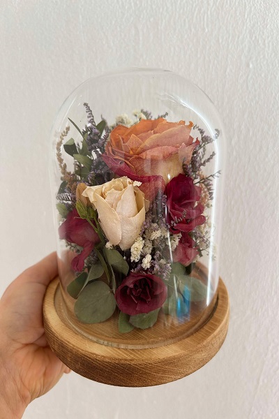 Luna Dome – Medium Size